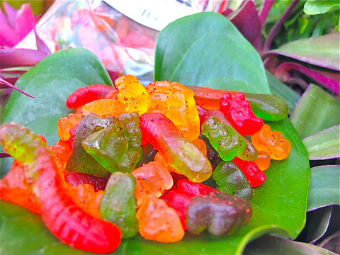 Aloha Gourmet Da Mini Pounder Li Hing Sour Gummi Worms 6.5oz (NOT FOR SALE TO CALIFORNIA)