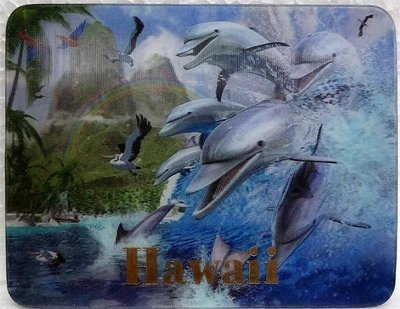 Magnet - Dolphins Wave 3D