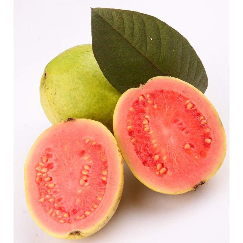 Hawaiian Sun Drink - Guava Nectar 11.5oz (Pack of 6) **Limit of 8-6 Pa ...